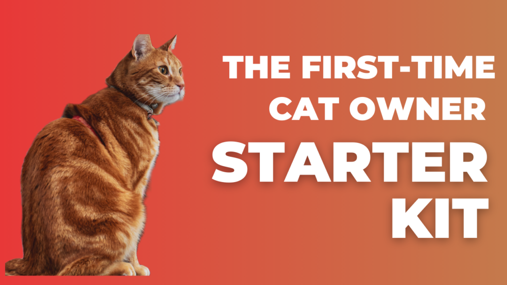 first-time cat owner's checklist