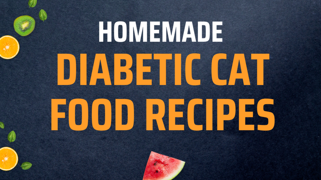 wholesome-homemade-diabetic-cat-food-recipes