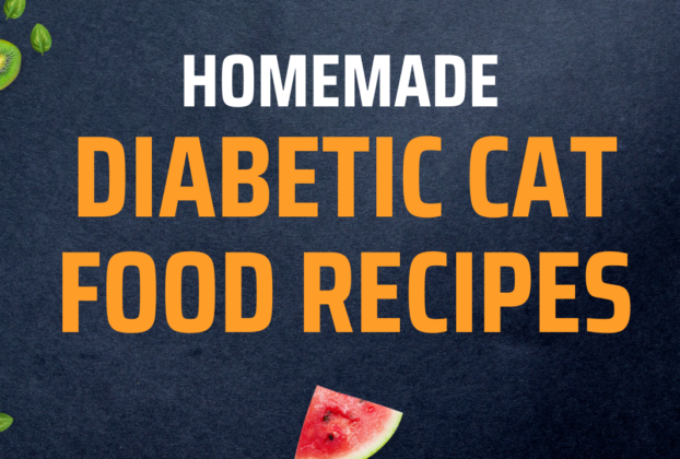 11-easy-homemade-diabetic-dog-food-recipes