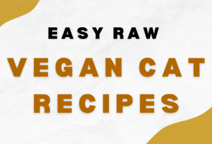 Easy Raw Vegan Cat Recipes