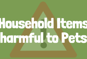 Household Items Harmful to Pets