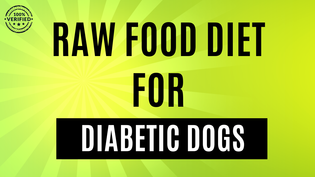Raw Food Diet For Diabetic Dogs