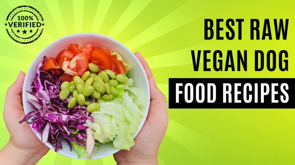 best raw vegan dog food recipes