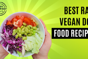 best raw vegan dog food recipes