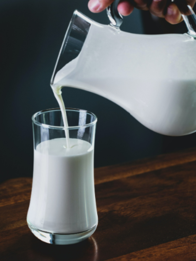 This is Why Milk is Bad for Cats for Dogs