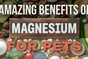 Benefits-of-magnesium-for-pets