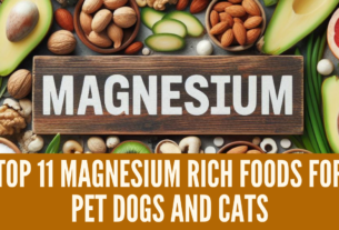 Top 11 Magnesium Rich Foods For Pet Dogs and Cats